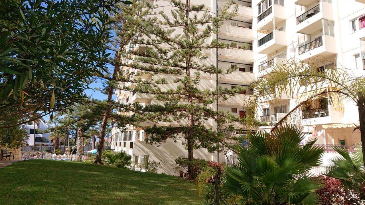 Apartment El Dorado Playa de las Américas Dış mekan fotoğraf